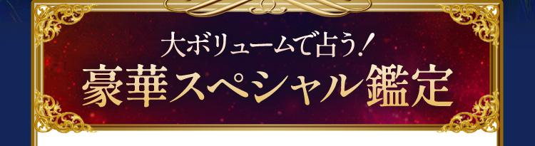 大ボリュームで占う!豪華スペシャル鑑定