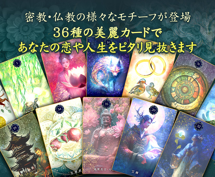 ̩·ʩ͡ʥդо36參ɤǤʤԥ긫ȴޤ