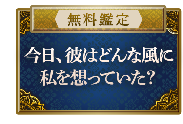 ̵ΤƩ뢡ϤɤˤʤΤȤۤäƤƤ