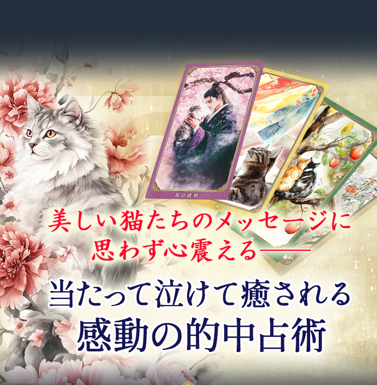 ������ǭ�����Υ�å������˻פ鷺���̤��� �����äƵ㤱��������봶ư��Ū�����