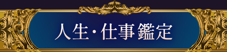 �������Ż�����