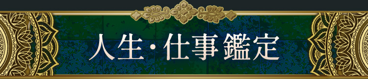 �������Ż�����