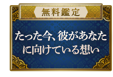 ��̵������ۿ��륿���åȤ��Ǥ����¡��ڤ��ä������ब���ʤ��˸����Ƥ����ۤ���