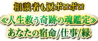 ���̼Ԥ��ޥܥ��ܥ�������ߤ����פκ�����䤢�ʤ��ν�̿/�Ż�/��