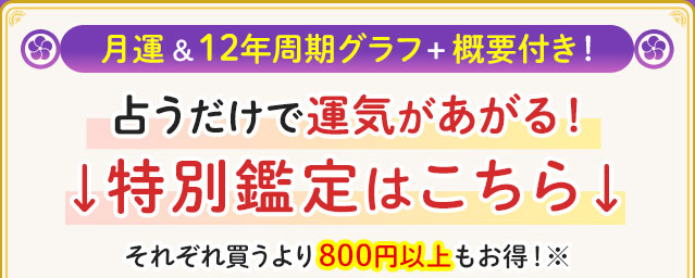 月運＆12年周期グラフ＋概要付き！占うだけで運気があがる！↓特別鑑定はこちら↓それぞれ買うより800円以上もお得！※